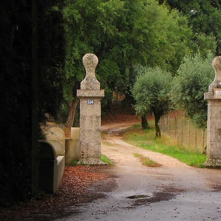 Quinta Do Cerquito Villa Ferreira do Zêzere Exteriör bild