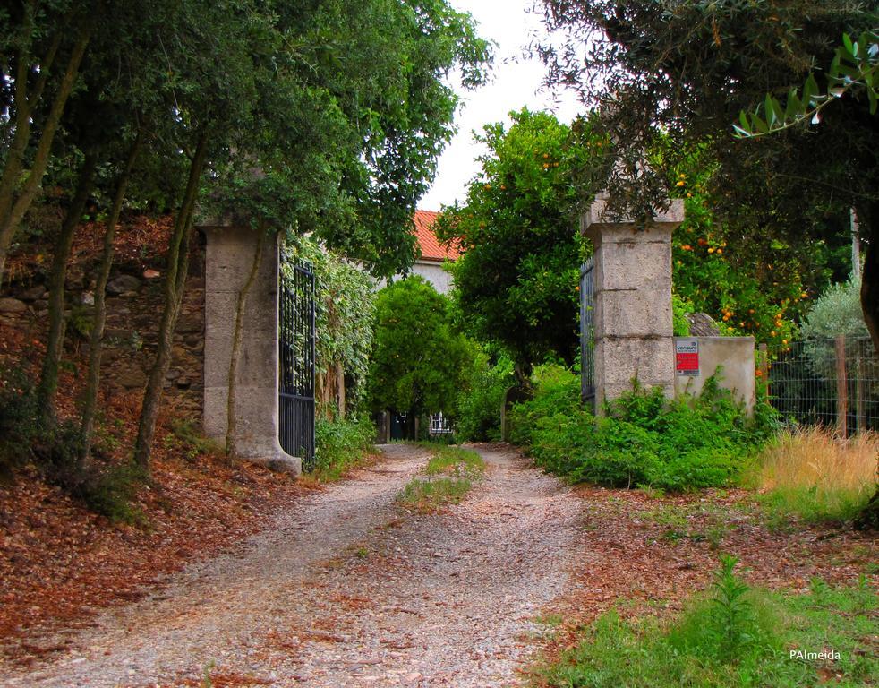 Quinta Do Cerquito Villa Ferreira do Zêzere Exteriör bild