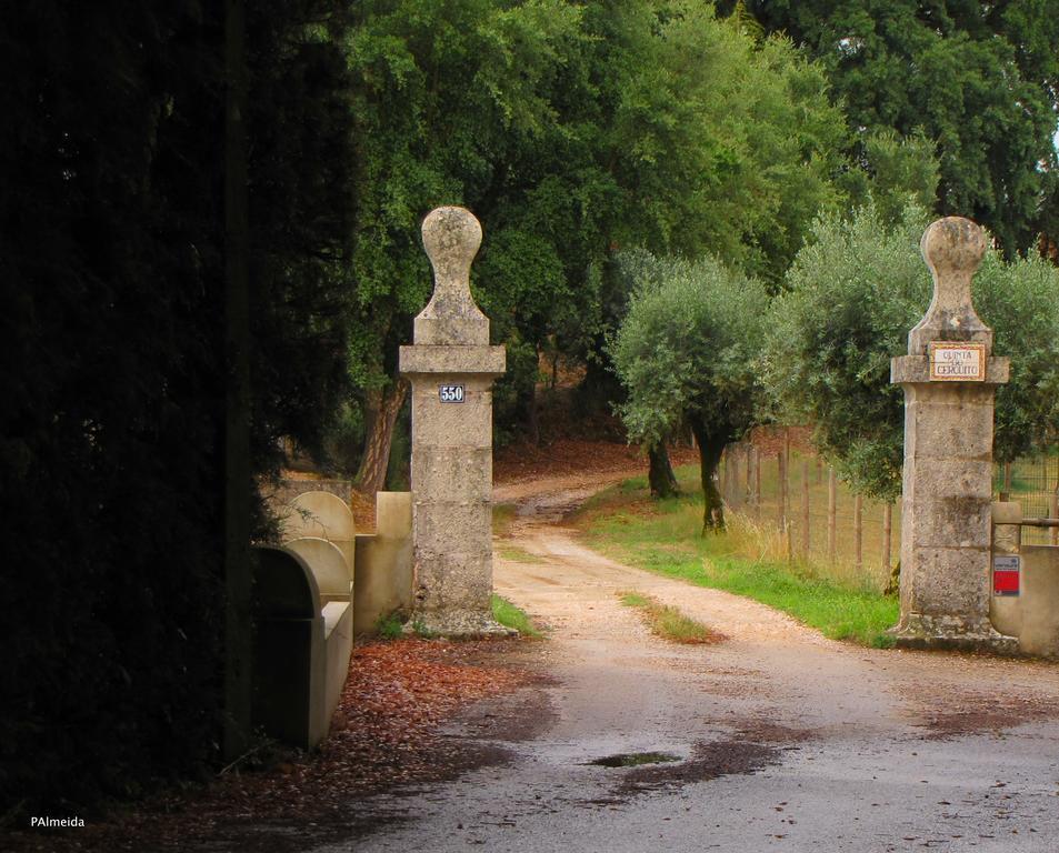 Quinta Do Cerquito Villa Ferreira do Zêzere Exteriör bild