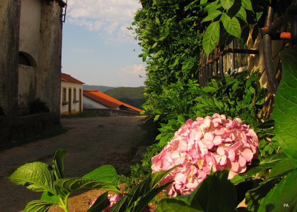 Quinta Do Cerquito Villa Ferreira do Zêzere Exteriör bild