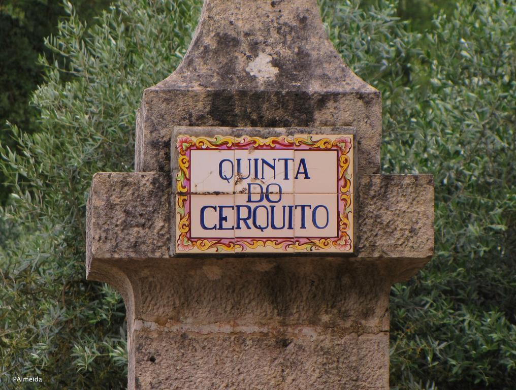 Quinta Do Cerquito Villa Ferreira do Zêzere Exteriör bild