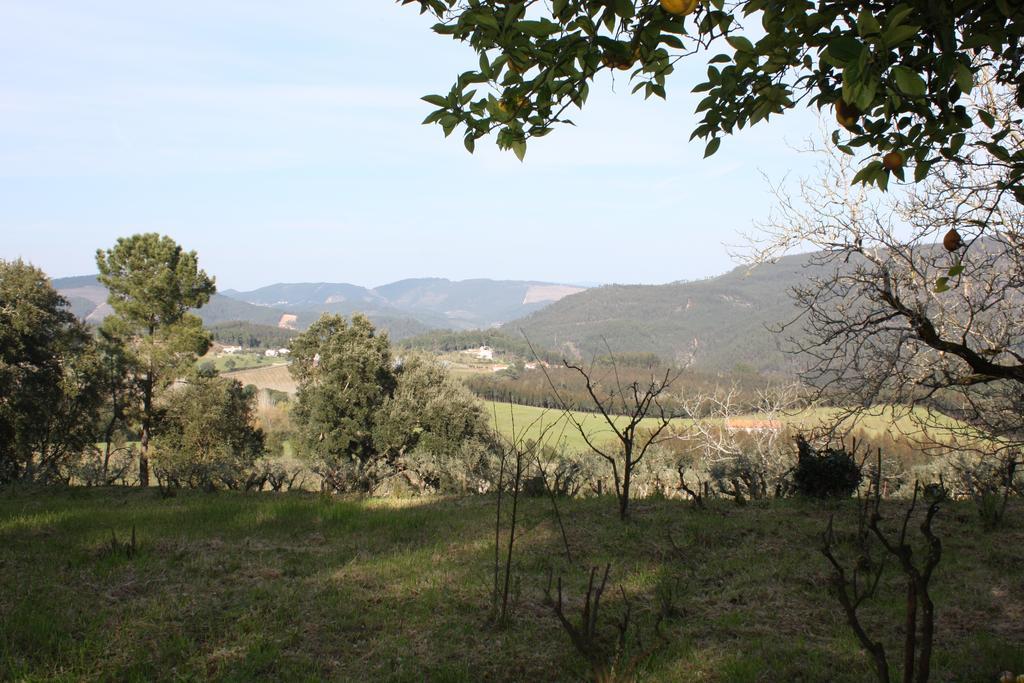 Quinta Do Cerquito Villa Ferreira do Zêzere Exteriör bild
